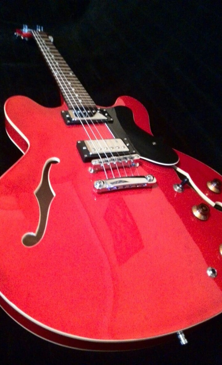 MeineGitarren-017~2.jpg